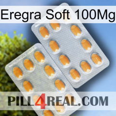 Eregra Soft 100Mg cialis4